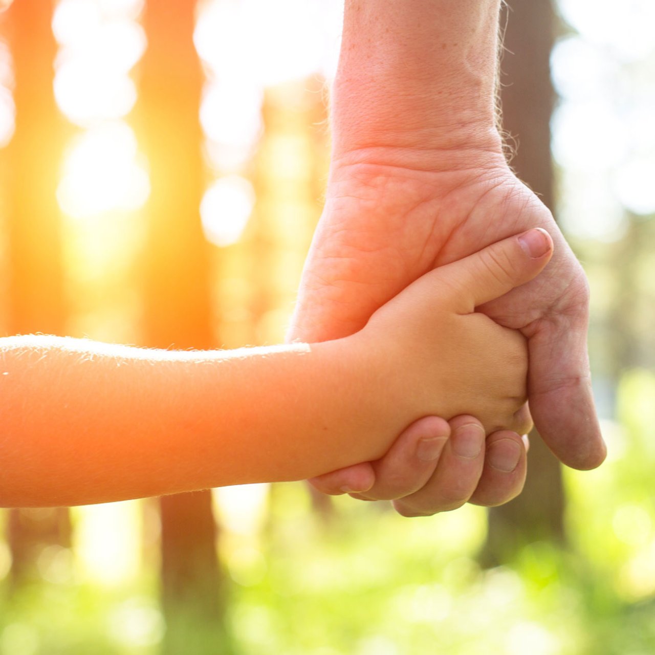 Besuchsbegleitung Mandat Bild Hand in Hand - Papa mit Kind